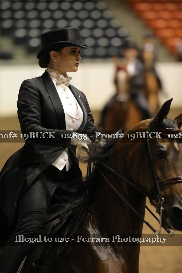 Proof 19BUCK_02853