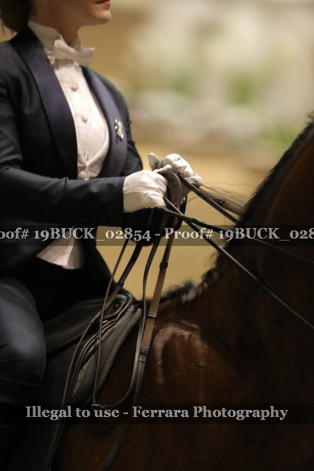 Proof 19BUCK_02854