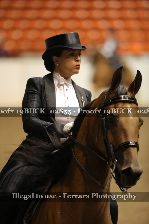 Proof 19BUCK_02855