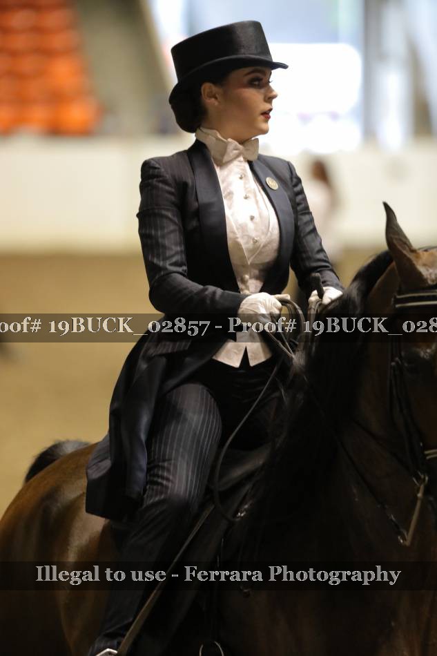 Proof 19BUCK_02857