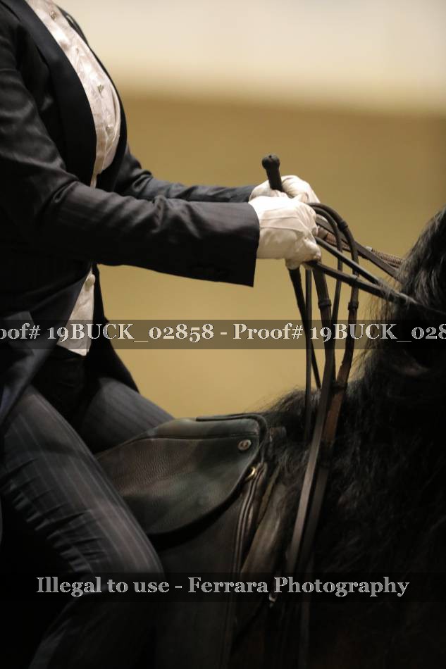 Proof 19BUCK_02858