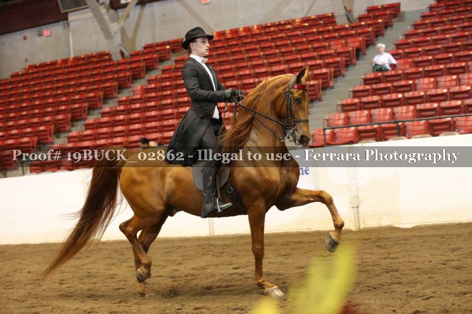 Proof 19BUCK_02862