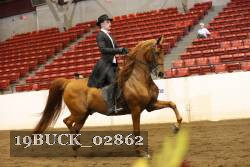 19BUCK_02862 proof