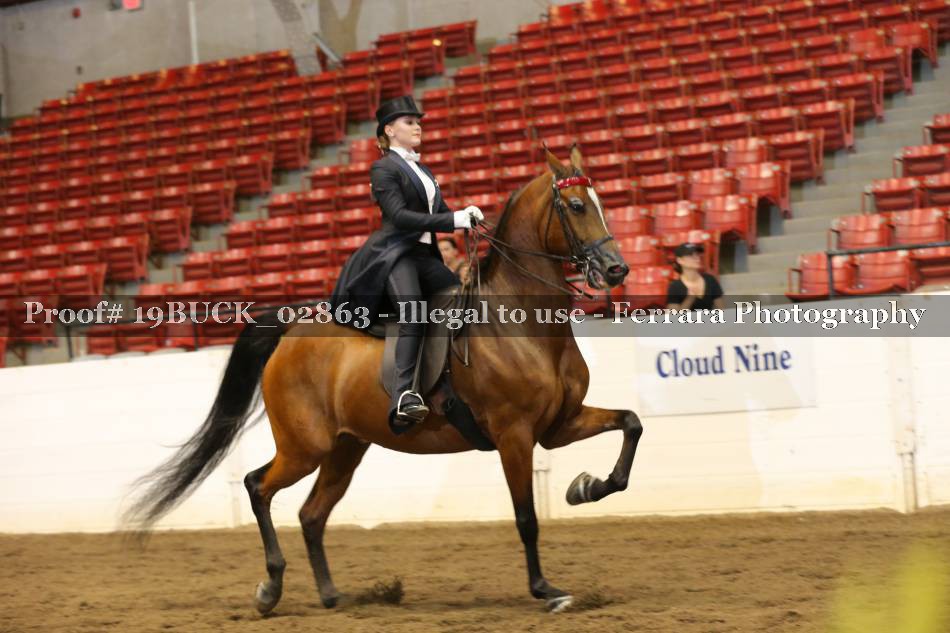 Proof 19BUCK_02863