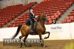 19BUCK_02863 proof