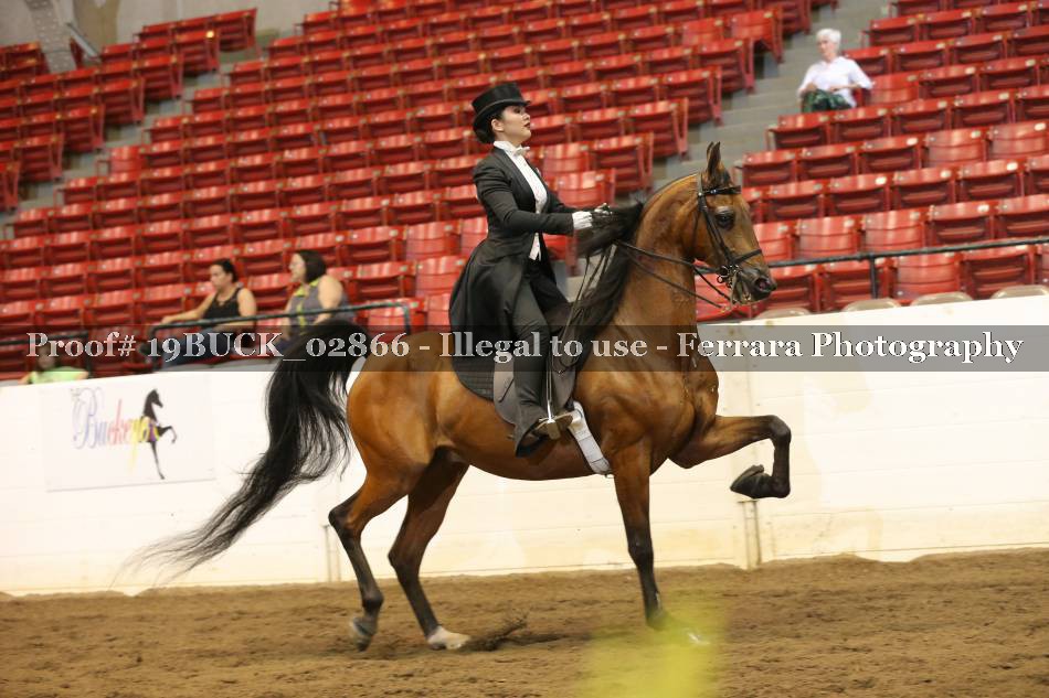 Proof 19BUCK_02866