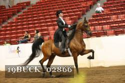 19BUCK_02866 proof