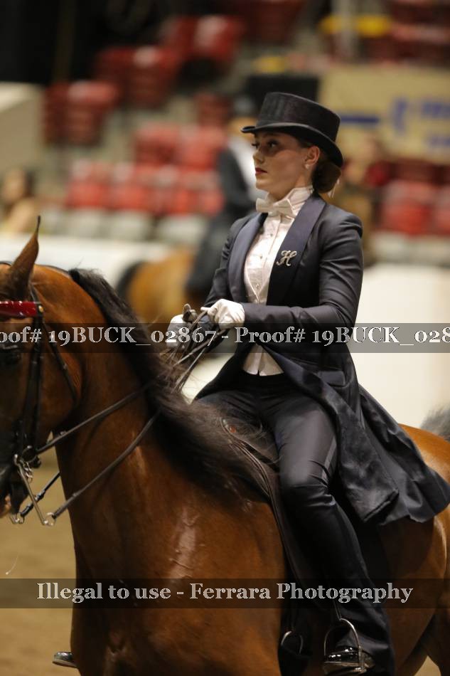 Proof 19BUCK_02867