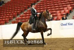 19BUCK_02868 proof