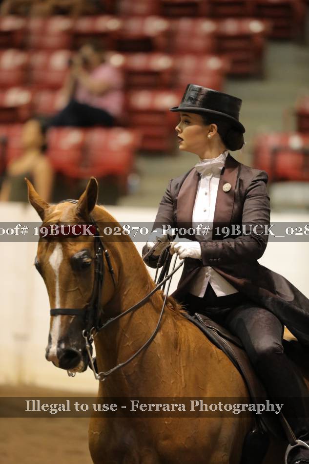 Proof 19BUCK_02870