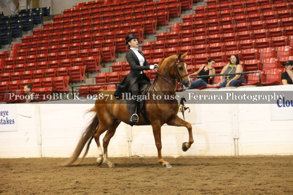 Proof 19BUCK_02871