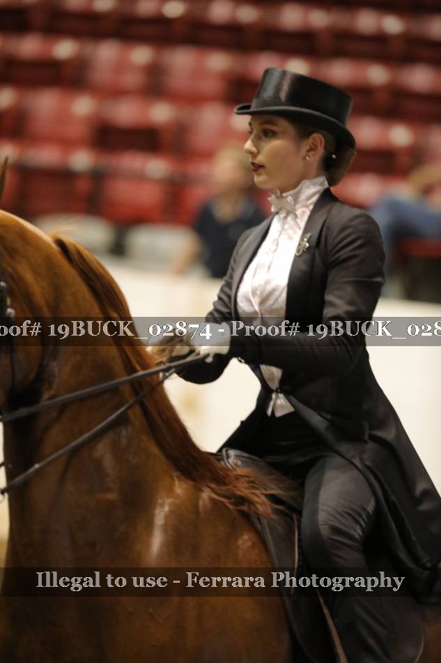 Proof 19BUCK_02874