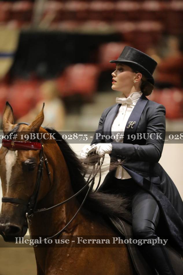 Proof 19BUCK_02875