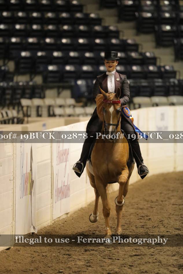 Proof 19BUCK_02878