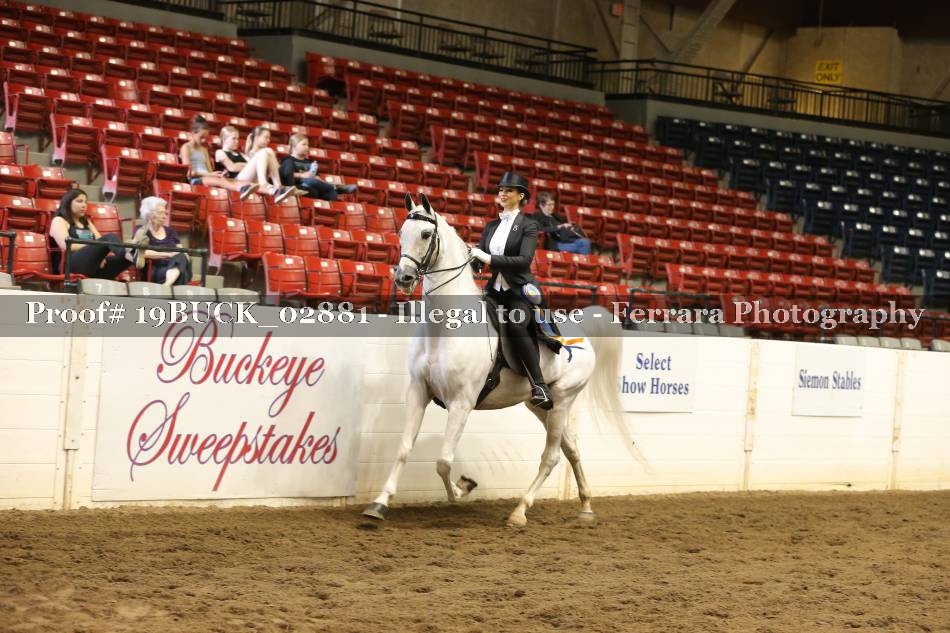 Proof 19BUCK_02881