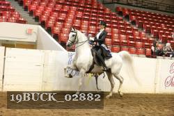 19BUCK_02882 proof