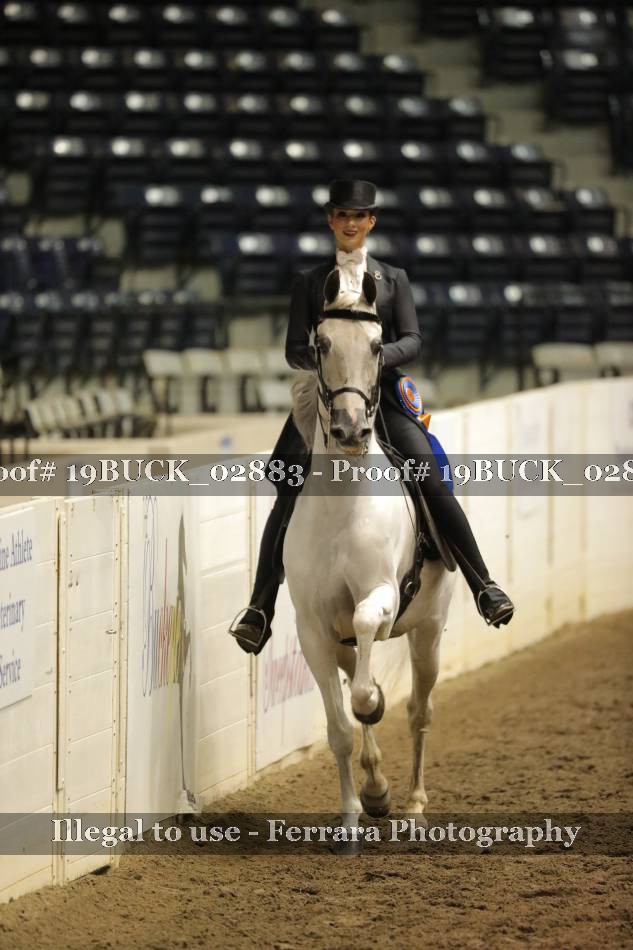 Proof 19BUCK_02883