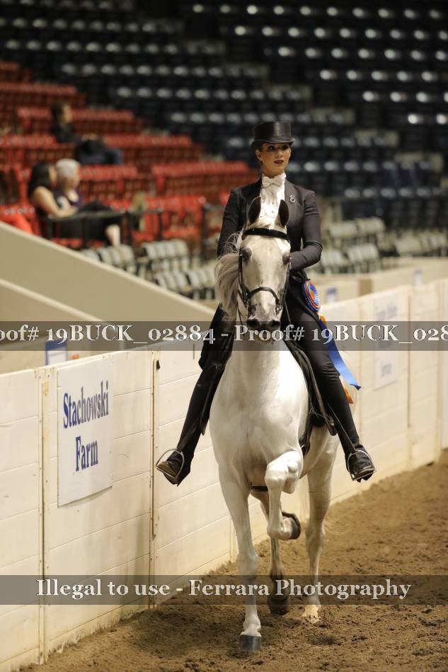 Proof 19BUCK_02884