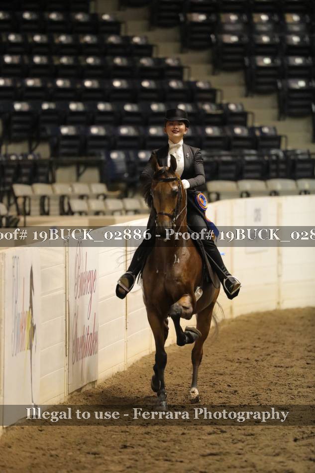 Proof 19BUCK_02886