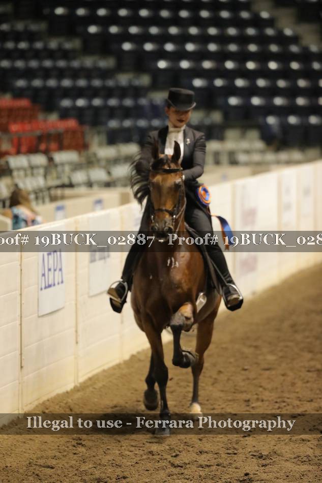 Proof 19BUCK_02887
