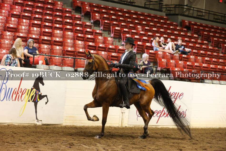 Proof 19BUCK_02888