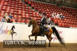19BUCK_02888 proof