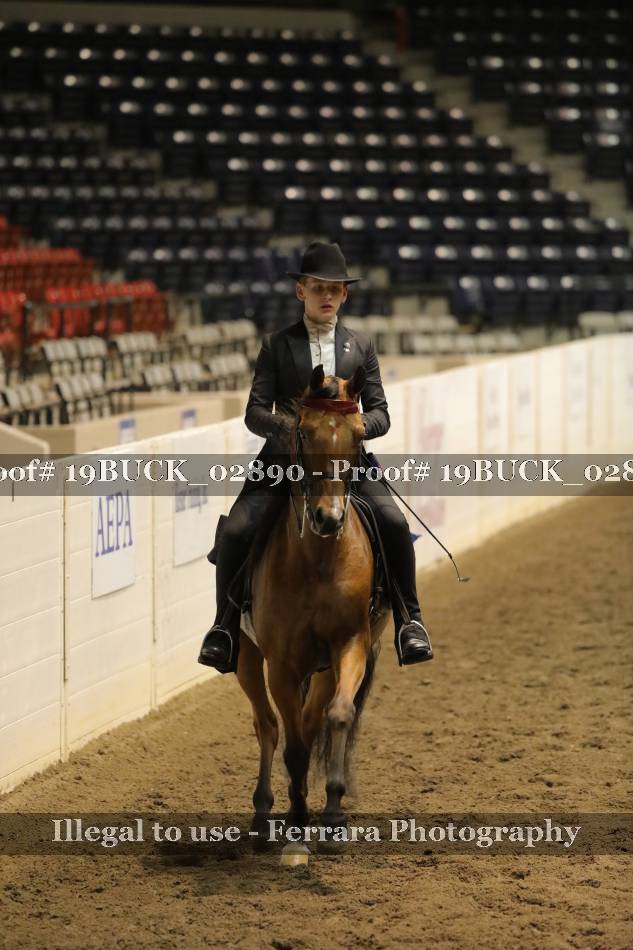 Proof 19BUCK_02890