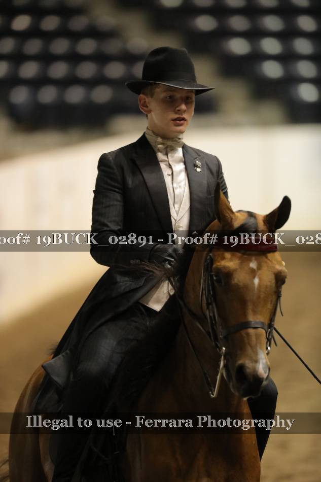 Proof 19BUCK_02891