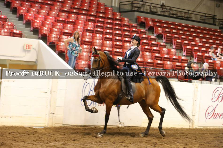Proof 19BUCK_02892