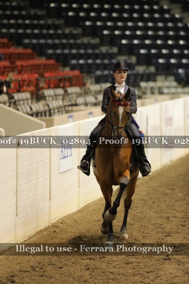 Proof 19BUCK_02894