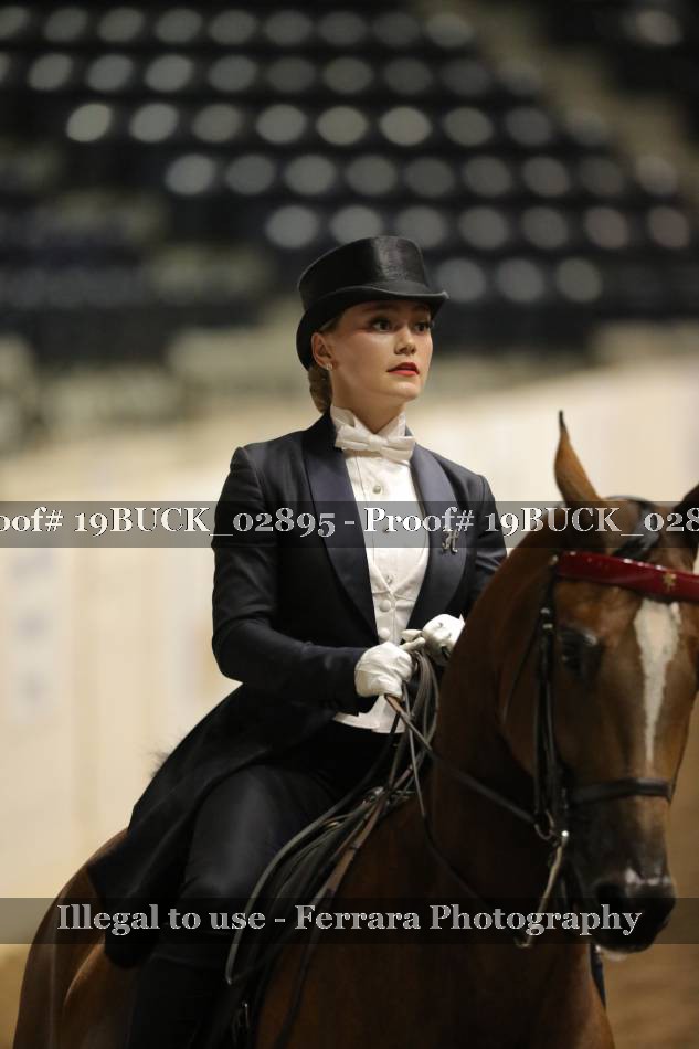 Proof 19BUCK_02895