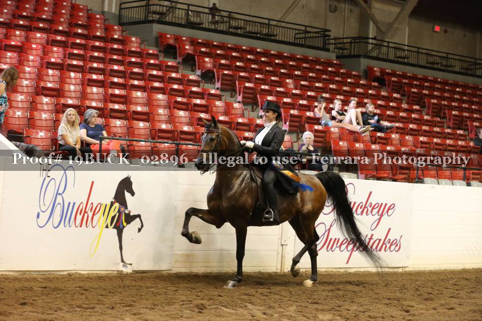 Proof 19BUCK_02896