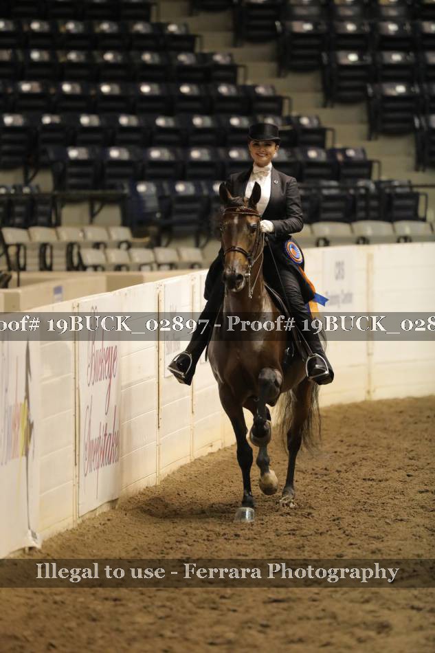 Proof 19BUCK_02897