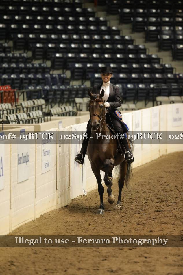 Proof 19BUCK_02898