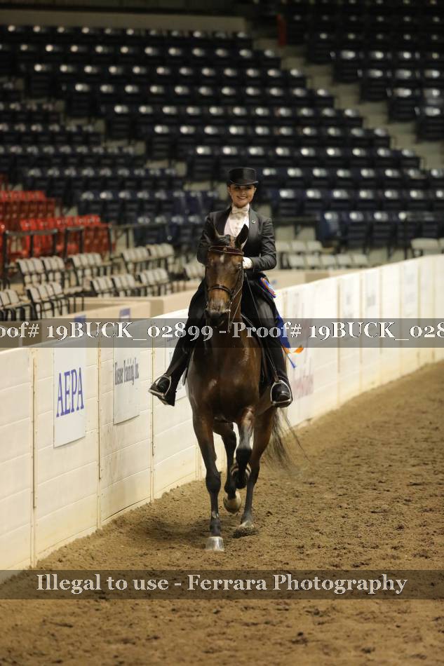 Proof 19BUCK_02899