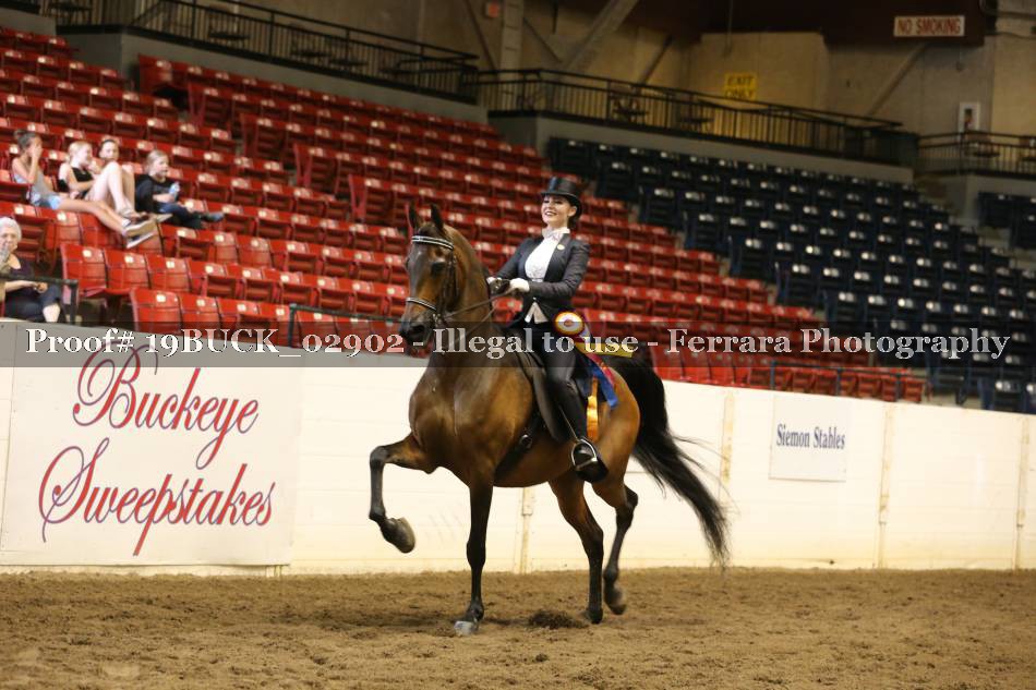 Proof 19BUCK_02902