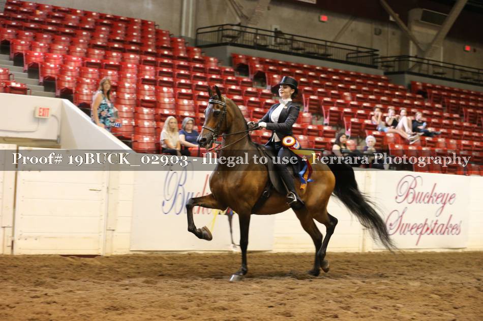 Proof 19BUCK_02903