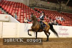 19BUCK_02903 proof