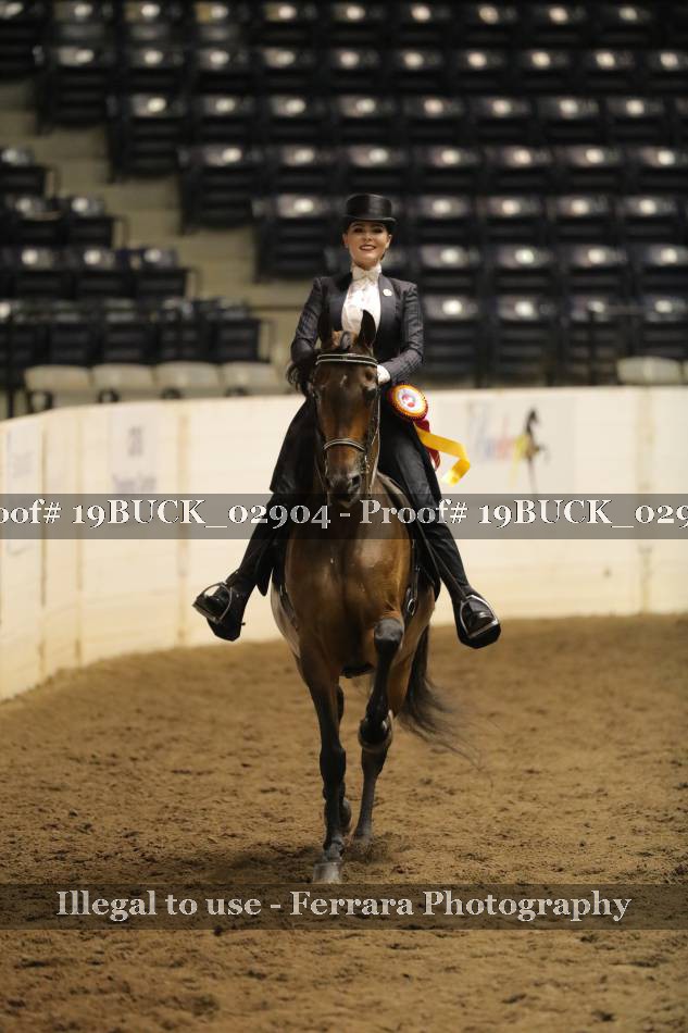 Proof 19BUCK_02904