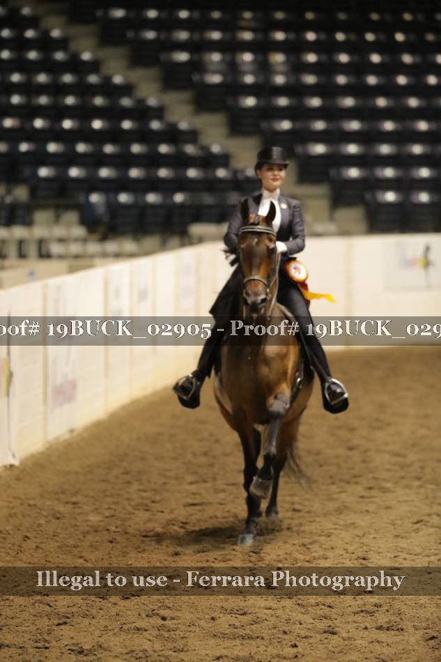 Proof 19BUCK_02905