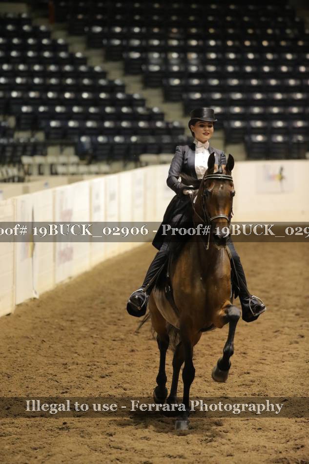 Proof 19BUCK_02906