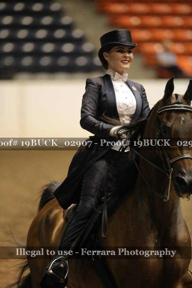 Proof 19BUCK_02907
