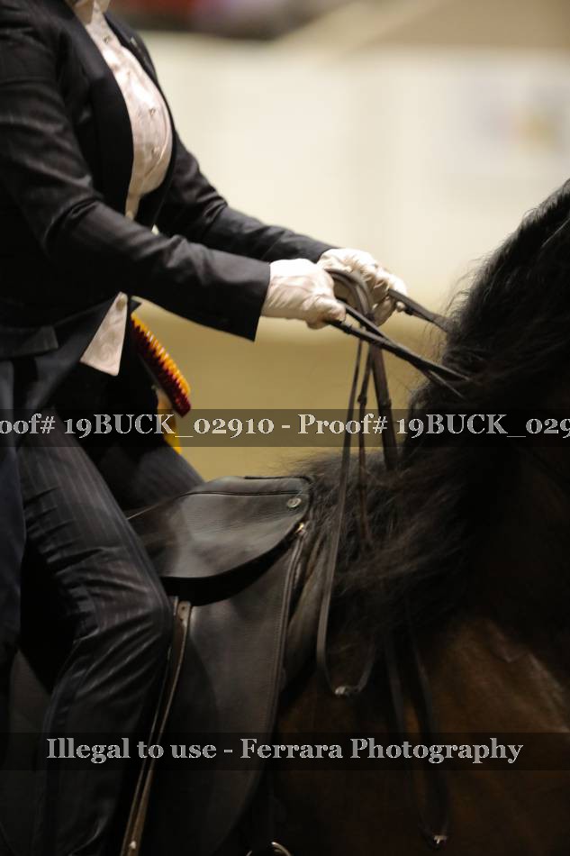 Proof 19BUCK_02910