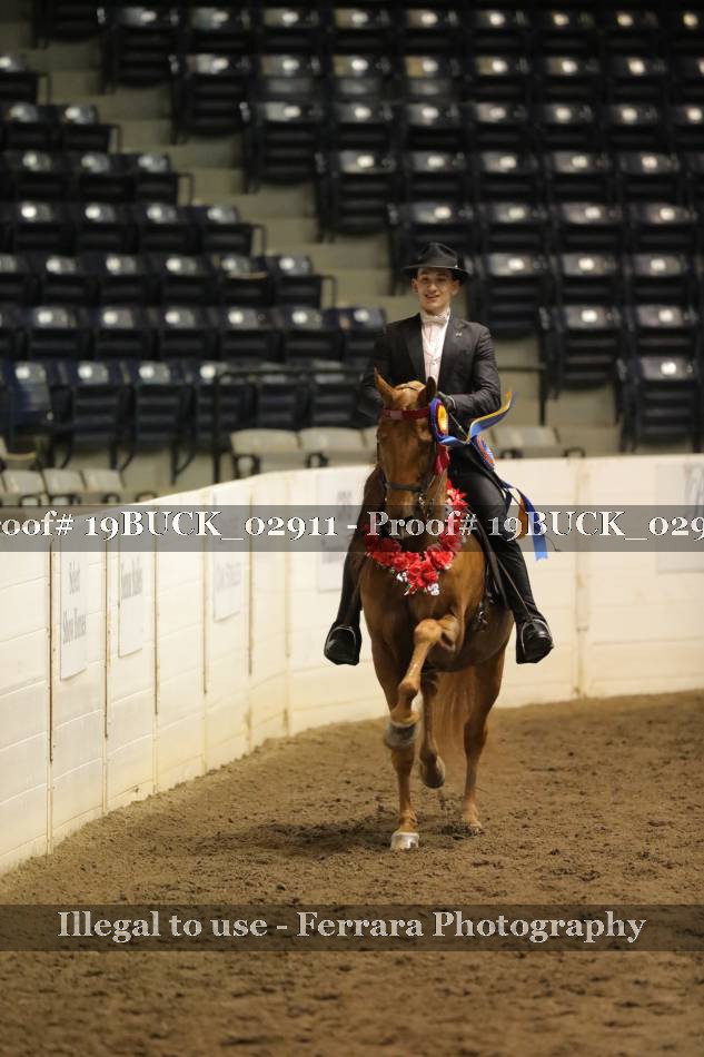 Proof 19BUCK_02911