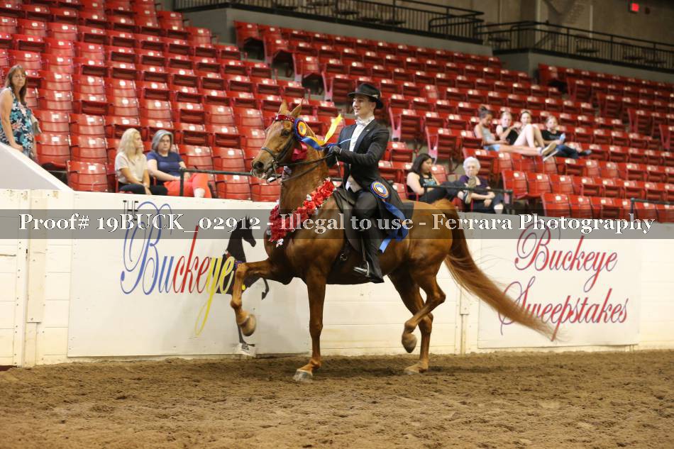 Proof 19BUCK_02912