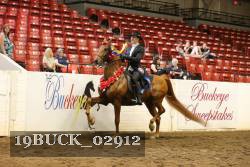 19BUCK_02912 proof