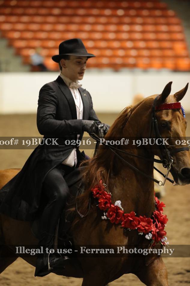 Proof 19BUCK_02916