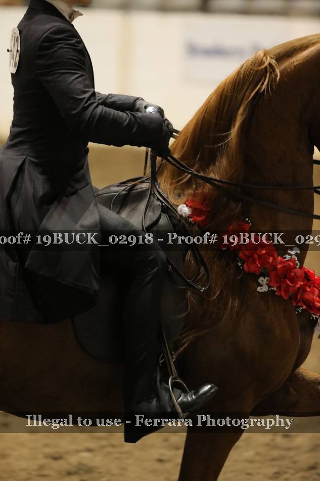 Proof 19BUCK_02918