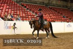 19BUCK_02919 proof
