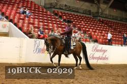 19BUCK_02929 proof
